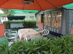 DSC03353 550